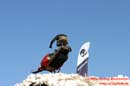 050423 Big Jump 2005 232