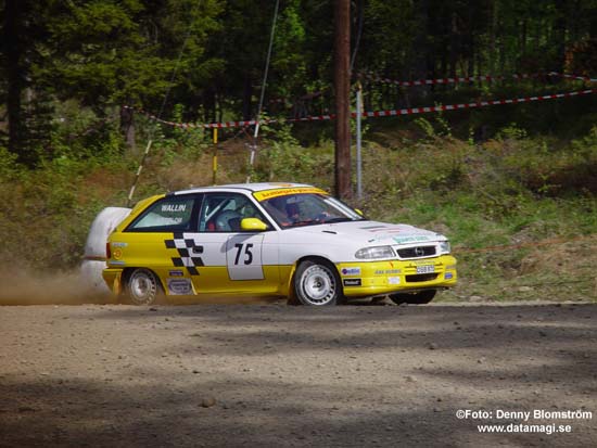 030601 Hammarbacken 197