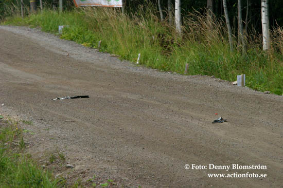 050806 Finska rallyt 105