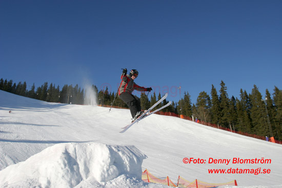 040303 Skidor 311