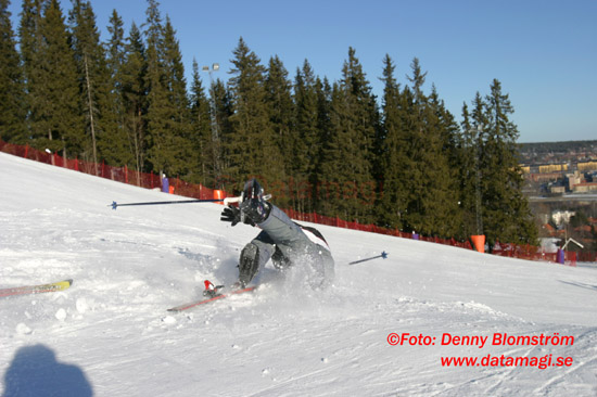 040303 Skidor 315