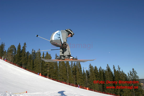 040303 Skidor 318