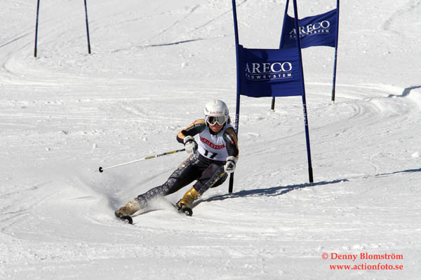 060326 SM Parallellslalom 212