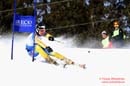 060326 SM Parallellslalom 085
