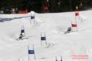 060326 SM Parallellslalom 236