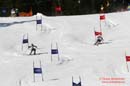 060326 SM Parallellslalom 237